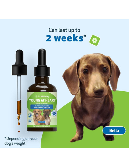 Suplemento Herbal Pet Wellbeing Joven de Corazón para Perros 59 ml