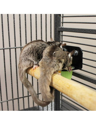 Nectar Pods Exotic Nutrition - Paquete de 4 Gelatinas Frutales