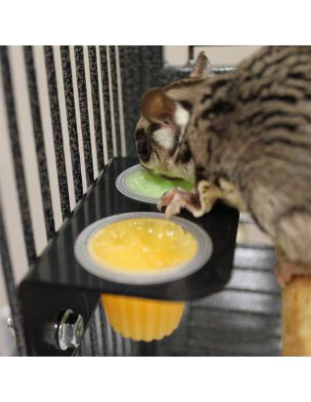 Nectar Pods Exotic Nutrition - Paquete de 4 Gelatinas Frutales