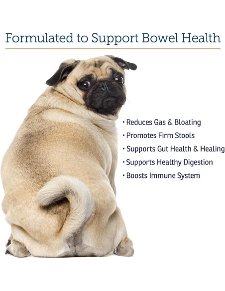 Probioticos NutriGest Rx Vitamins 132.5g para Perros y Gatos