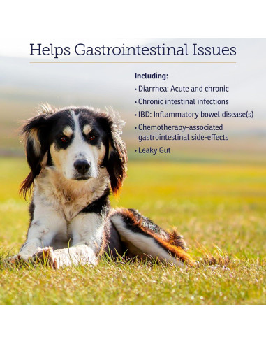 Probioticos NutriGest Rx Vitamins 132.5g para Perros y Gatos