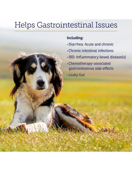 Probioticos NutriGest Rx Vitamins 132.5g para Perros y Gatos