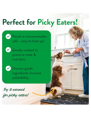 Comida Fresca para Perros Portland Pet Food 5 Paquetes 255g Pavo