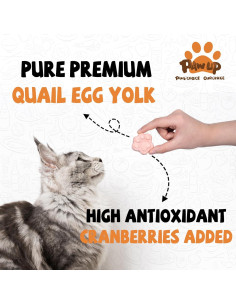 Galletas Liofilizadas para Gatos y Perros PAWUP 99 g 2