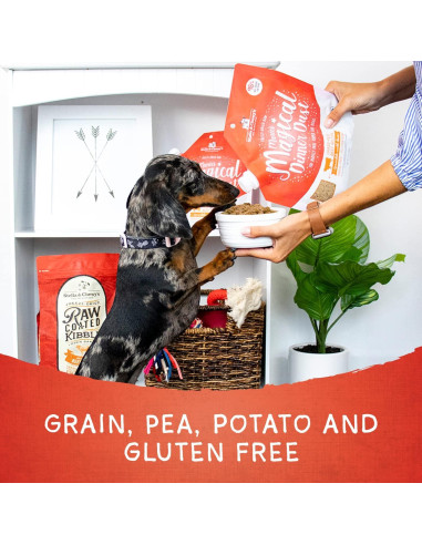 Polvo Mágico de Cena Cruda Liofilizada Stella & Chewy's 198g