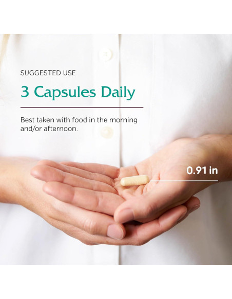 Vitanica Asistente Adrenal Vegano 90 Cápsulas Soporte Estrés