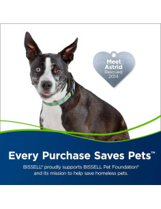 Aspiradora Vertical Bissell Pet Hair Eraser Turbo Rewind 27909 2