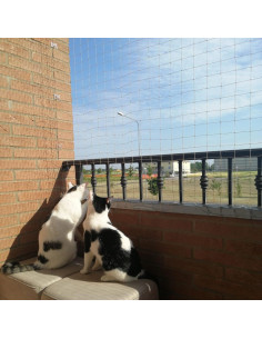 Red de Seguridad para Gatos JUMXSRLE 3.05x7.92m Transparente 2