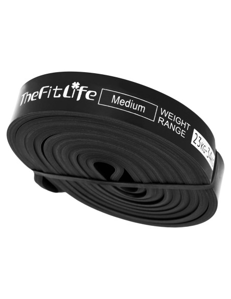 Bandas de Asistencia para Dominadas TheFitLife - Resistencia 4 Niveles