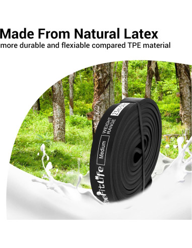 Bandas de Asistencia para Dominadas TheFitLife - Resistencia 4 Niveles