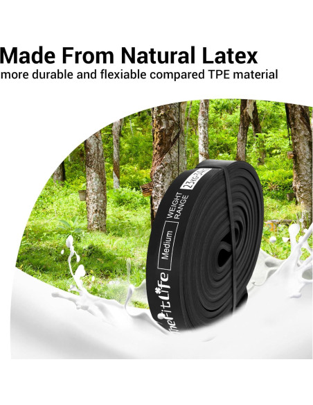 Bandas de Asistencia para Dominadas TheFitLife - Resistencia 4 Niveles