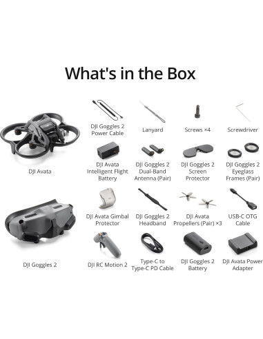 DJI Avata Pro-View Combo - Dron Cuadcóptero 4K con Gafas 2
