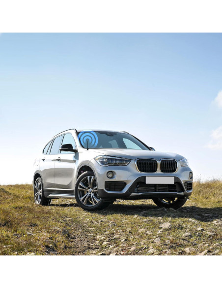 Antena de Radio AM FM Eightwood con Conector DIN 17.3cm