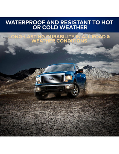 Antena de Estilo Bala TN TrunkNets para Ford F150 2009-2024