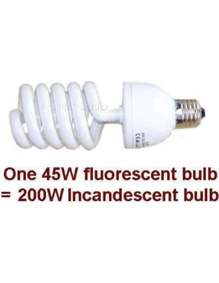 Kit de Iluminación Continua 800W Ardinbir con Paraguas y Soporte