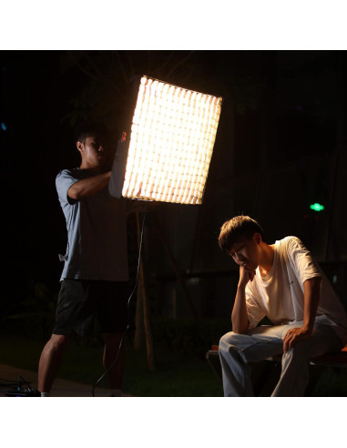 Luz LED Flexible Bi-Color Falcon Eyes RX-24TDX III 220W IPX8