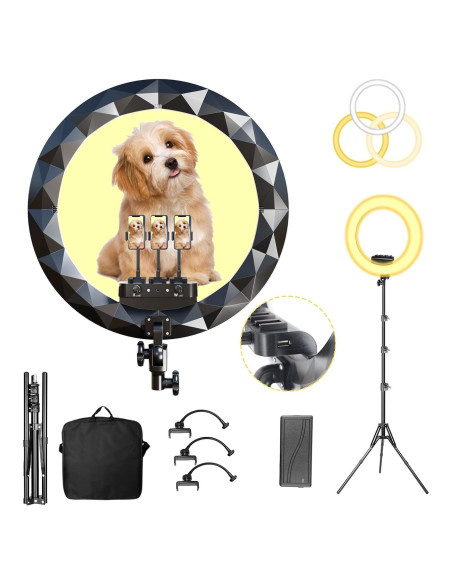 Anillo de Luz LED 19" con Trípode 2.5m y 3 Soportes para Teléfono