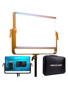 Luz de Video LED Bi-Color Dracast X Series 2000 con V-Mount