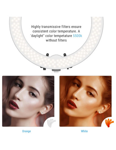 Anillo de Luz LED IVISII 19" con Soporte y Adaptador 55W