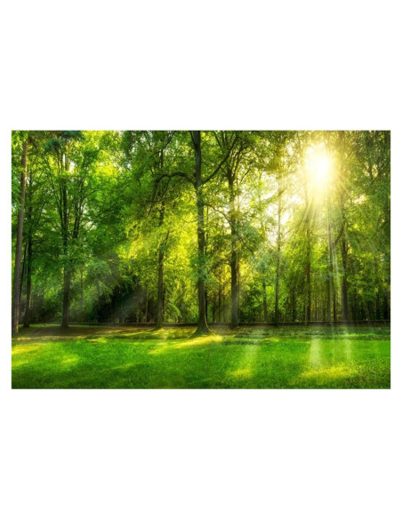 Fondo de Fotografía Leowefowa 3x2.2m Selva Primavera