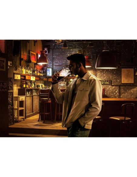 Backdrop de Tela Poliester Loccor 213x152cm Fiesta Pub