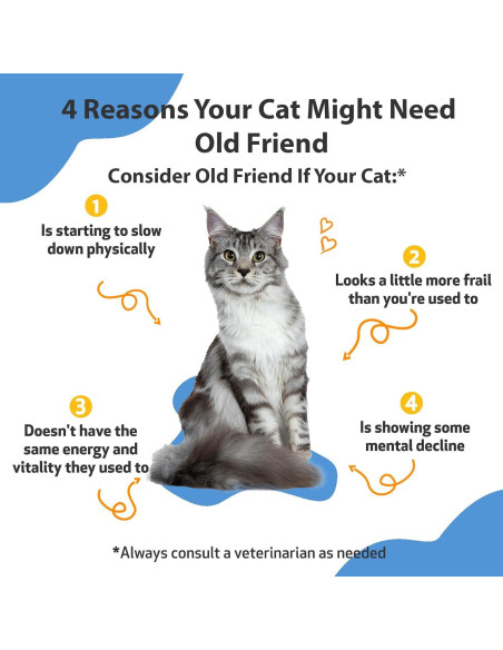 Suplemento Herbal para Gatos Mayores Pet Wellbeing 59 ml