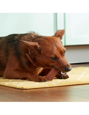 Golosinas para Perros Rachael Ray Nutrish 170g Sabor Carne y Cebada