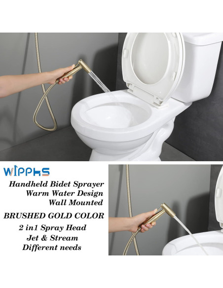 Rociador de Bidet de Mano WiPPhs Oro Cepillado con Válvula Mezcladora