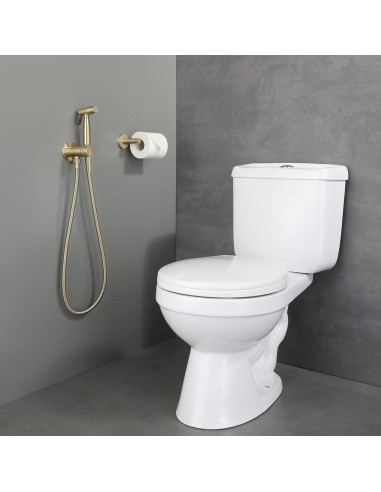 Rociador de Bidet de Mano WiPPhs Oro Cepillado con Válvula Mezcladora