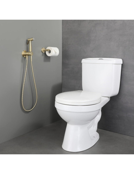 Rociador de Bidet de Mano WiPPhs Oro Cepillado con Válvula Mezcladora