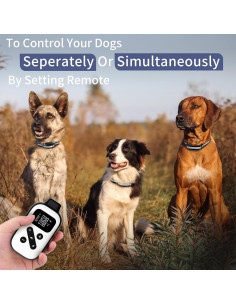 Collar de Choque PetJoy para 3 Perros con Control Remoto 2