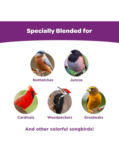 Mezcla de Nueces y Frutas Kaytee para Aves Silvestres 2.27 kg