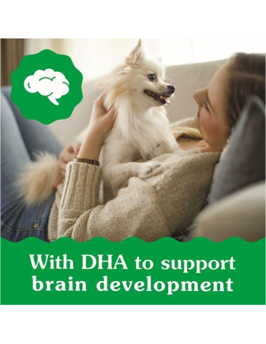 Golosinas Dentales para Cachorros Greenies Puppy 170 g