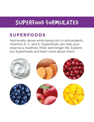 Suplemento Digestivo de Calabaza Fruitables 425g - 6 Paquetes