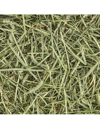 Heno Timothy 100% Natural Kaytee 0.91 kg para Cobayas y Conejos