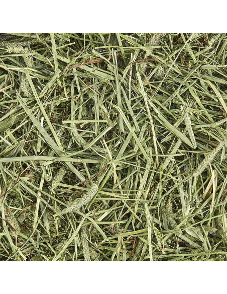 Heno Timothy 100% Natural Kaytee 0.91 kg para Cobayas y Conejos