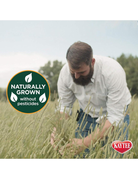 Heno Timothy 100% Natural Kaytee 0.91 kg para Cobayas y Conejos