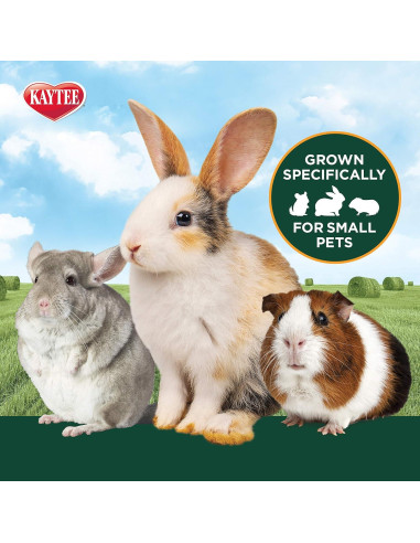 Heno Timothy 100% Natural Kaytee 0.91 kg para Cobayas y Conejos