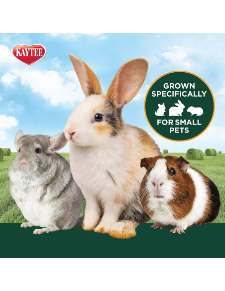 Heno Timothy 100% Natural Kaytee 0.91 kg para Cobayas y Conejos