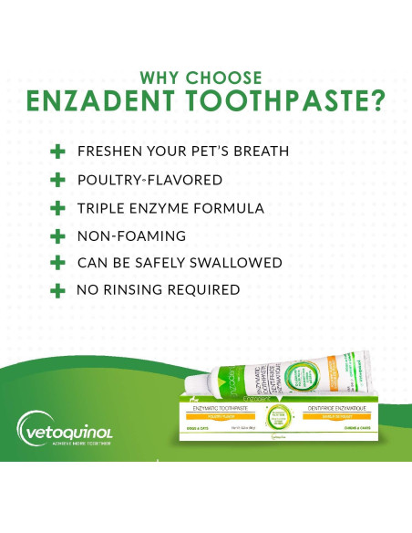 Pasta Dental Enzimática Vetoquinol para Gatos y Perros 90.7 g