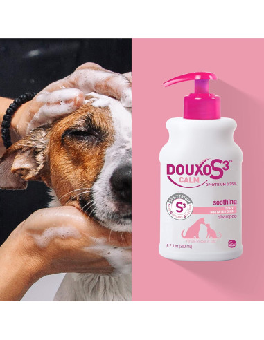 Champú Calmante Douxo S3 para Perros y Gatos 200 mL