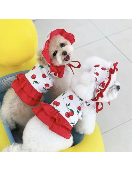 Bañador para Perro IMDOUBLEDOU Pequeño Cereza con Sombrero