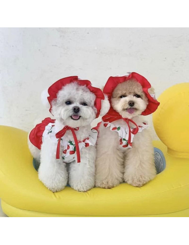Bañador para Perro IMDOUBLEDOU Pequeño Cereza con Sombrero