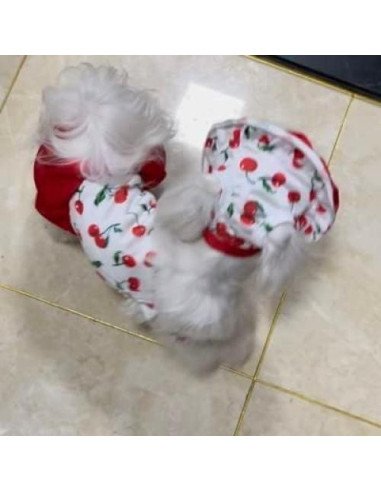 Bañador para Perro IMDOUBLEDOU Pequeño Cereza con Sombrero