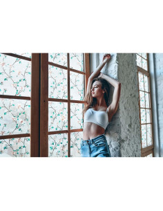 Película de Privacidad Decorativa VSUDO 44.5x200 cm Floral 2