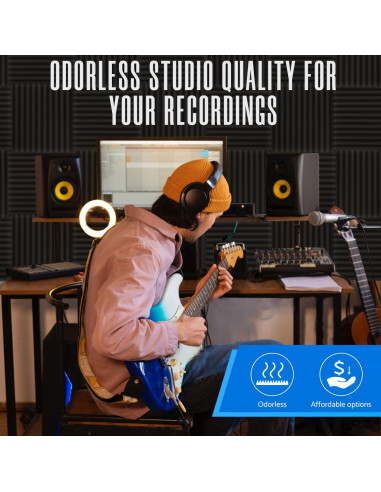 Paquete de 12 Paneles Acústicos Aislantes 1" x 30.48 cm