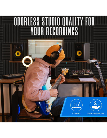 Paquete de 12 Paneles Acústicos Aislantes 1" x 30.48 cm