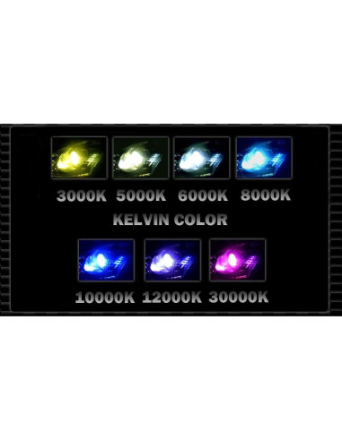 Bombilla Xenón H7 Xentec 6000K 3000lm - Par