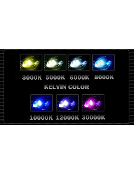 Bombilla Xenón H7 Xentec 6000K 3000lm - Par