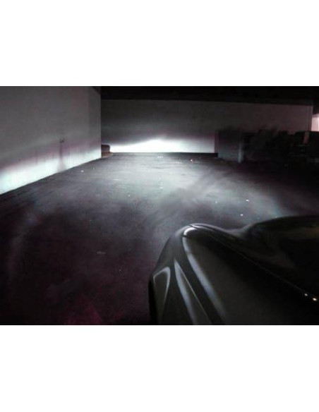 Bombilla Xenón H7 Xentec 6000K 3000lm - Par